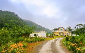 Yangyang Goyohan Kkottteul Pension