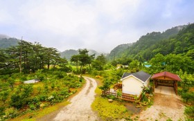 Yangyang Goyohan Kkottteul Pension