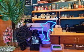 Yangyang Joa Surf Surfing House