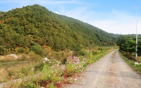 Yangyang Muloreum Pension