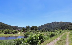 Yangyang Muloreum Pension