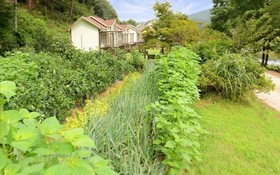Yangyang Sigol Punggyeong Pension