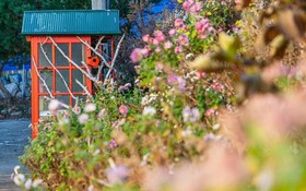 Yangyang Silver Sea Pension