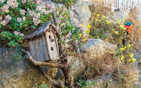 Yangyang Silver Sea Pension