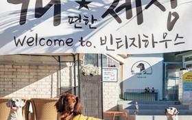 Yangyang Vintage House Pension