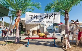 Yangyang Vintage House Pension