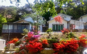 Yong Maple Pension