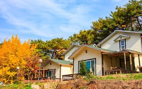 Yong Maple Pension