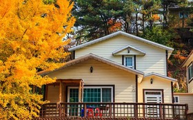 Yong Maple Pension