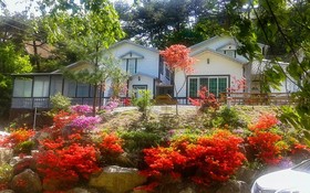 Yong Maple Pension
