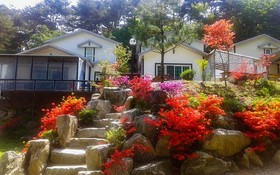 Yong Maple Pension
