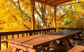 Yong Maple Pension