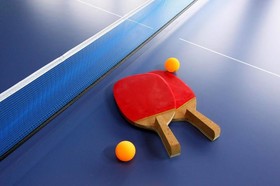 Afternoon Of The Forest