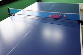 Afternoon Of The Forest