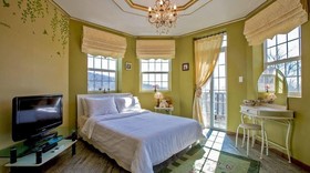 Afternoon Of The Forest