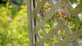 Ganghwa Sea In The Picture Pension