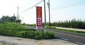 The Persimmon Tree Pension