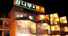 The Persimmon Tree Pension