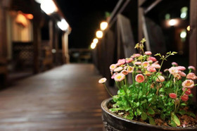 Apple Farm Stay