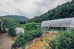 Asamo Poolvilla