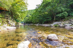Eco Pia Pension