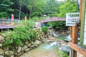 Elsia Pension