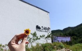 Gapyeong 240st Pool Villa