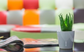 Gapyeong 4U Poolvilla & Spa Pension