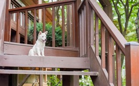 Gapyeong Belita Pension