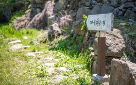 Gapyeong Blueberry Hill Pension