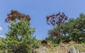 Gapyeong Captain Caravan Glamping