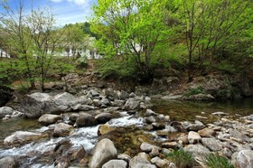 Gapyeong Dorothy Pension