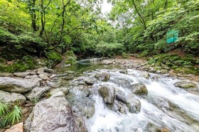 Gapyeong Dorothy Pension