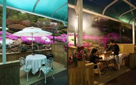 Gapyeong Dorothy Pension