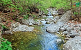 Gapyeong Dorothy Pension