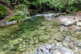 Gapyeong Dorothy Pension