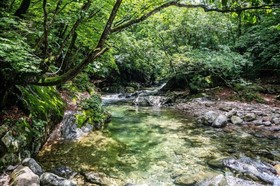 Gapyeong Dorothy Pension