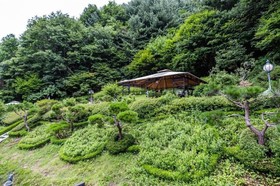 Gapyeong Dorothy Pension