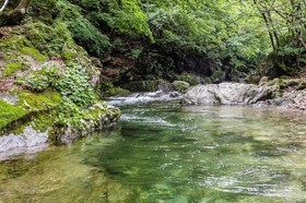 Gapyeong Dorothy Pension