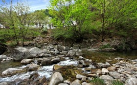 Gapyeong Dorothy Pension