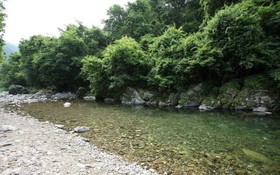 Gapyeong Gangsibong Mirinae Pension