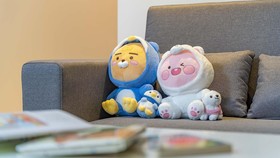 Gapyeong Gonggam Kid Gajok Seupa Gyegok Pension