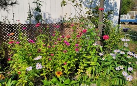 Gapyeong Green Garden Valley Pension