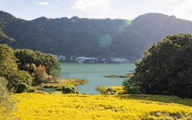 Gapyeong High Palace Pool Villa