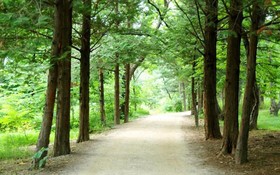 Gapyeong Lavita Glamping Pension