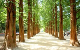 Gapyeong Lavita Glamping Pension