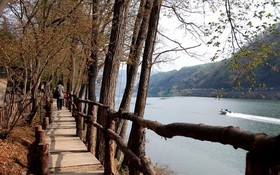 Gapyeong Lavita Glamping Pension