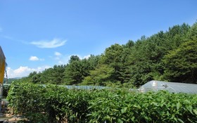 Gapyeong Nokcheon Glamping Pension