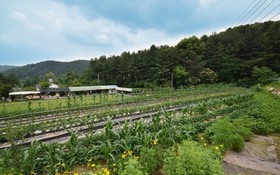 Gapyeong Nokcheon Glamping Pension