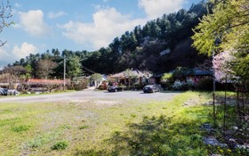 Gapyeong Pine Hue Pension